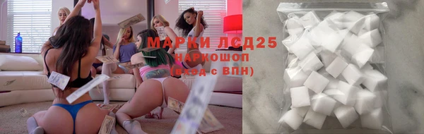 дживик Аркадак