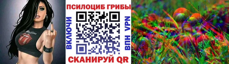 Галлюциногенные грибы Psilocybe  купить  цена  Сураж 